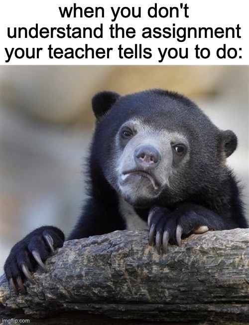 Confession Bear Meme | when you don't understand the assignment your teacher tells you to do: | image tagged in memes,confession bear | made w/ Imgflip meme maker