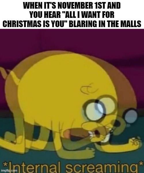 It's time! | WHEN IT'S NOVEMBER 1ST AND YOU HEAR "ALL I WANT FOR CHRISTMAS IS YOU" BLARING IN THE MALLS | image tagged in mariah carey,jake the dog internal screaming,christmas | made w/ Imgflip meme maker