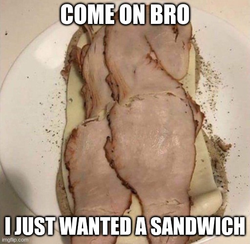 Now I Cant Eat | COME ON BRO; I JUST WANTED A SANDWICH | image tagged in t h i c c s a n d w i c h,damnit,shit,sandwich,hungry | made w/ Imgflip meme maker