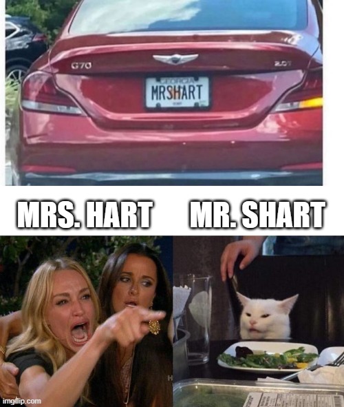 Which is It? | MR. SHART; MRS. HART | image tagged in memes,woman yelling at cat | made w/ Imgflip meme maker