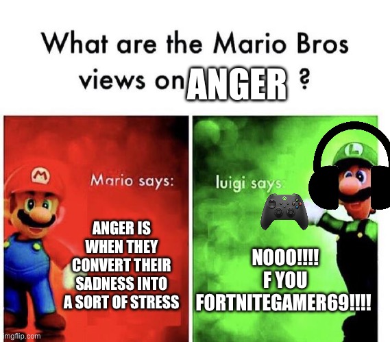 Luigi is stuck in 2019 | ANGER; ANGER IS WHEN THEY CONVERT THEIR SADNESS INTO A SORT OF STRESS; NOOO!!!! F YOU FORTNITEGAMER69!!!! | image tagged in mario bros views,angery | made w/ Imgflip meme maker
