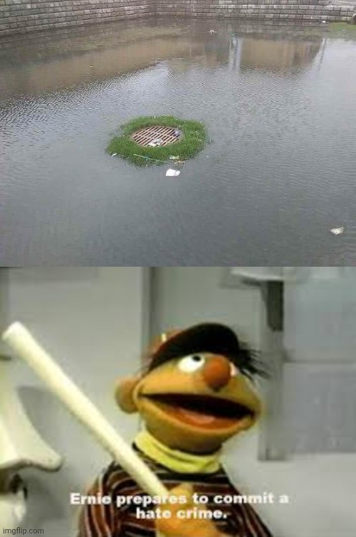 Water not draining | image tagged in ernie prepares to commit a hate crime,sewer,drain,water,you had one job,memes | made w/ Imgflip meme maker