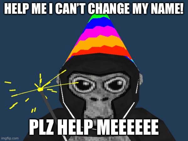 Plz help me | HELP ME I CAN’T CHANGE MY NAME! PLZ HELP MEEEEEE | image tagged in not funny,plz | made w/ Imgflip meme maker