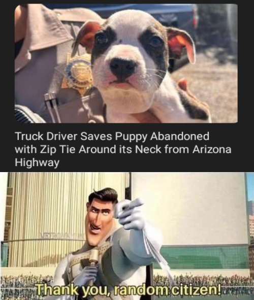 Heroic truck driver | image tagged in thank you random citizen,memes,dogs,dog,puppy,truck driver | made w/ Imgflip meme maker