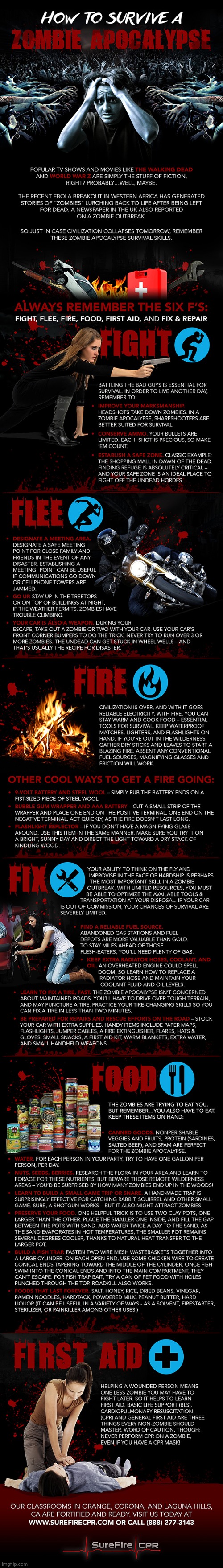 How To Survive A Zombie Apocalypse :> | image tagged in simothefinlandized,zombie apocalypse,survival,guide,infographics | made w/ Imgflip meme maker