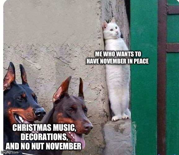 Hidden cat | ME WHO WANTS TO HAVE NOVEMBER IN PEACE; CHRISTMAS MUSIC, DECORATIONS, AND NO NUT NOVEMBER | image tagged in hidden cat,memes,november,christmas | made w/ Imgflip meme maker