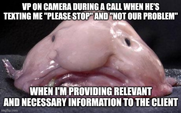 Blobfish | VP ON CAMERA DURING A CALL WHEN HE'S TEXTING ME "PLEASE STOP" AND "NOT OUR PROBLEM"; WHEN I'M PROVIDING RELEVANT AND NECESSARY INFORMATION TO THE CLIENT | image tagged in blobfish | made w/ Imgflip meme maker
