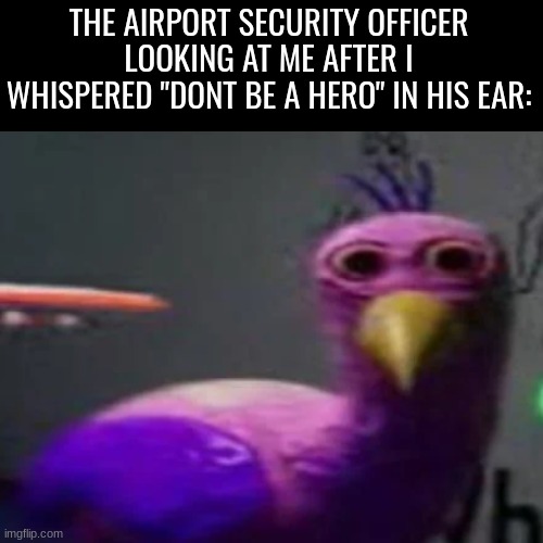 Blank Transparent Square Meme | THE AIRPORT SECURITY OFFICER LOOKING AT ME AFTER I WHISPERED "DONT BE A HERO" IN HIS EAR: | image tagged in memes,blank transparent square | made w/ Imgflip meme maker