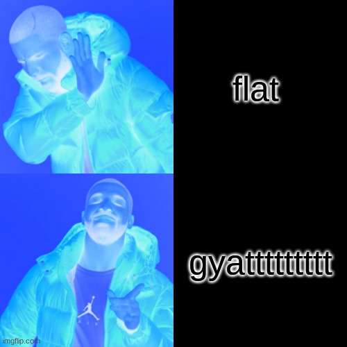 Drake Hotline Bling Meme | flat; gyattttttttt | image tagged in memes,drake hotline bling | made w/ Imgflip meme maker