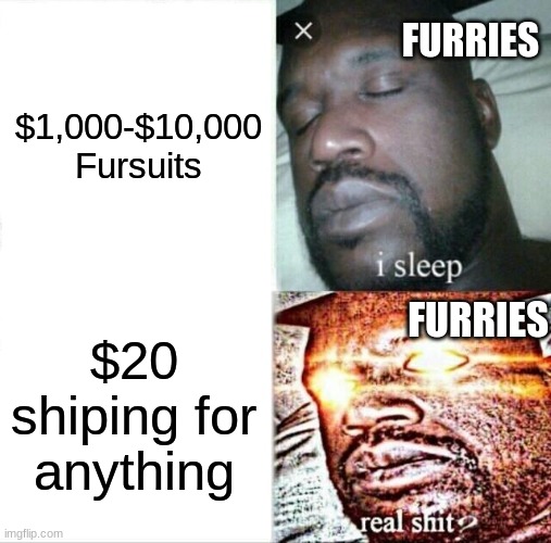 20 DOLLAR SHIPING? | FURRIES; $1,000-$10,000 Fursuits; FURRIES; $20 shiping for anything | image tagged in memes,sleeping shaq | made w/ Imgflip meme maker