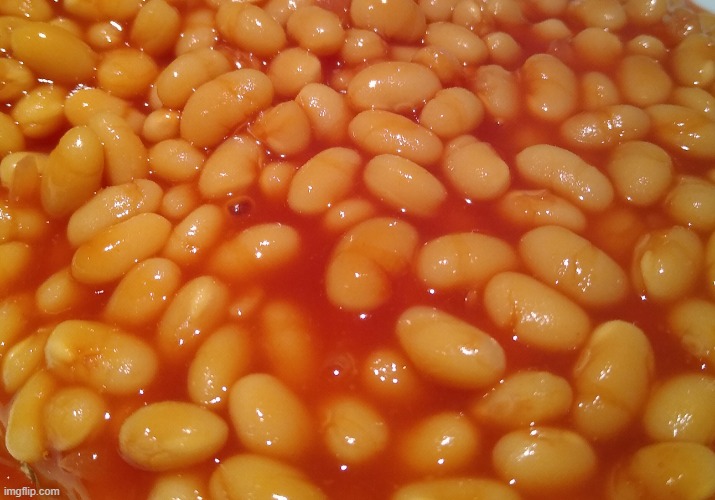 Dead chat | image tagged in heinz beanz | made w/ Imgflip meme maker