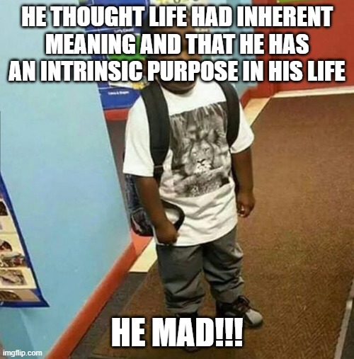 He Mad | HE THOUGHT LIFE HAD INHERENT MEANING AND THAT HE HAS AN INTRINSIC PURPOSE IN HIS LIFE; HE MAD!!! | image tagged in he mad | made w/ Imgflip meme maker