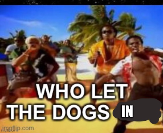 Who let the dogs out | IN | image tagged in who let the dogs out | made w/ Imgflip meme maker