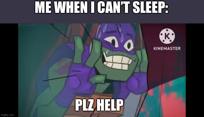 I can’t go back to sleep at 6:00 am because… I’m wide awake. | ME WHEN I CAN’T SLEEP:; PLZ HELP | image tagged in funny,certified bruh moment,relatable memes | made w/ Imgflip meme maker