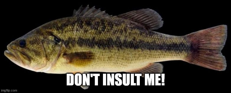 Bass | DON'T INSULT ME! | image tagged in bass | made w/ Imgflip meme maker
