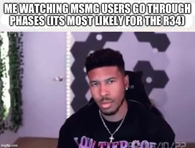 My honest reaction | ME WATCHING MSMG USERS GO THROUGH PHASES (ITS MOST LIKELY FOR THE R34) | image tagged in my honest reaction | made w/ Imgflip meme maker