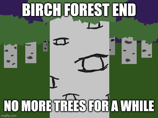 BIRCH FOREST END; NO MORE TREES FOR A WHILE | made w/ Imgflip meme maker