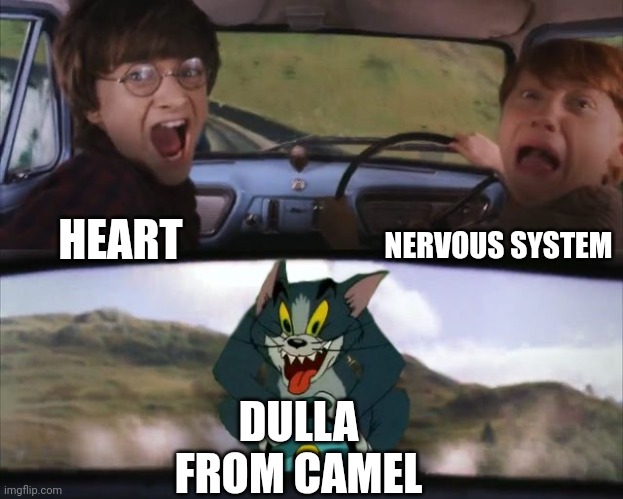 Tom chasing Harry and Ron Weasly | NERVOUS SYSTEM; HEART; DULLA FROM CAMEL | image tagged in tom chasing harry and ron weasly | made w/ Imgflip meme maker