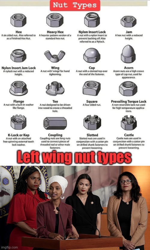 Different kinds of nuts | image tagged in left wing | made w/ Imgflip meme maker