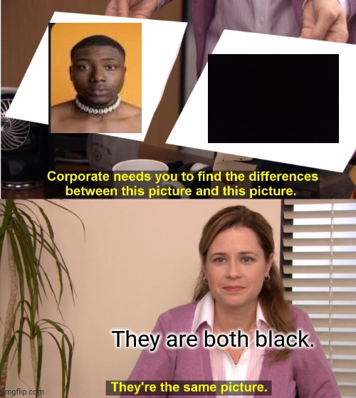 They're The Same Picture Meme | They are both black. | image tagged in memes,they're the same picture | made w/ Imgflip meme maker
