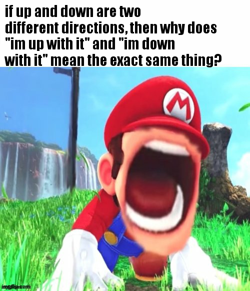 mario screaming | if up and down are two different directions, then why does "im up with it" and "im down 
with it" mean the exact same thing? | image tagged in mario screaming | made w/ Imgflip meme maker