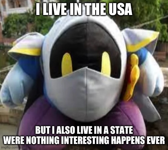 I ain’t telling you ya gotta guess it yourself | I LIVE IN THE USA; BUT I ALSO LIVE IN A STATE WERE NOTHING INTERESTING HAPPENS EVER | image tagged in msmg | made w/ Imgflip meme maker