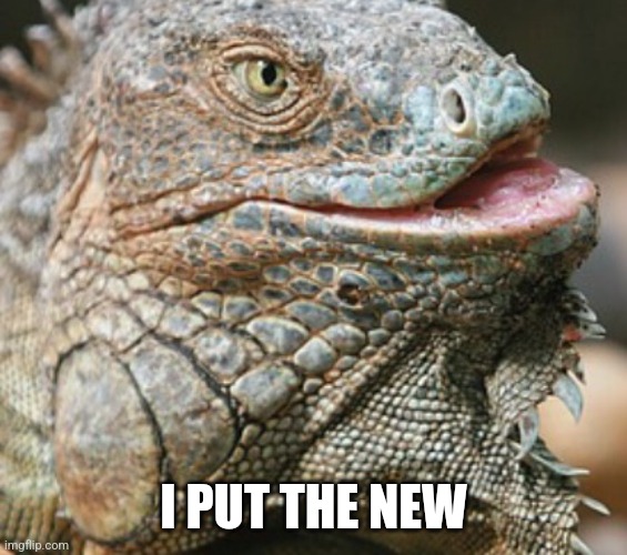 Iguana | I PUT THE NEW | image tagged in iguana | made w/ Imgflip meme maker