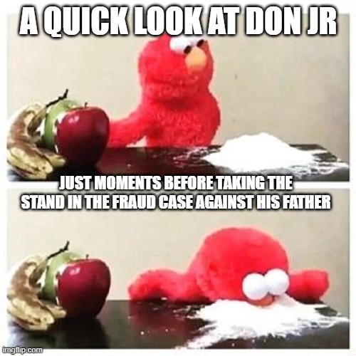 elmo cocaine | A QUICK LOOK AT DON JR; JUST MOMENTS BEFORE TAKING THE STAND IN THE FRAUD CASE AGAINST HIS FATHER | image tagged in elmo cocaine | made w/ Imgflip meme maker