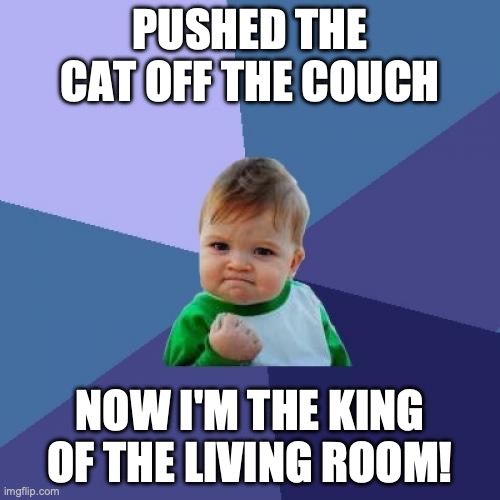 Success Kid | PUSHED THE CAT OFF THE COUCH; NOW I'M THE KING OF THE LIVING ROOM! | image tagged in memes,success kid | made w/ Imgflip meme maker