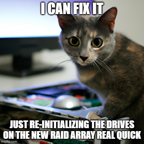 i can fix it | I CAN FIX IT; JUST RE-INITIALIZING THE DRIVES ON THE NEW RAID ARRAY REAL QUICK | image tagged in cat,computer,server,hardware,fixing,it guy | made w/ Imgflip meme maker