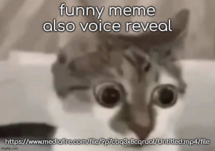 bombastic side eye cat | funny meme
also voice reveal; https://www.mediafire.com/file/9p7cbq3x8cqrual/Untitled.mp4/file | image tagged in bombastic side eye cat | made w/ Imgflip meme maker