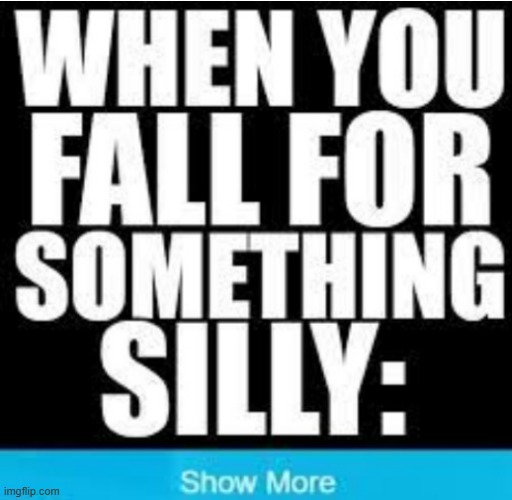 When you fall for something silly: | image tagged in lol | made w/ Imgflip meme maker