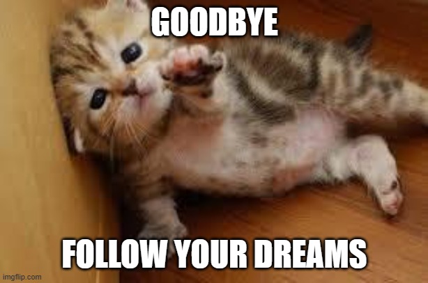 GOODBYE FOLLOW YOUR DREAMS | image tagged in sad kitten goodbye | made w/ Imgflip meme maker