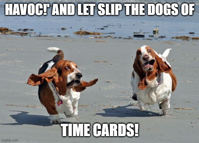 Time Card | HAVOC!' AND LET SLIP THE DOGS OF; TIME CARDS! | image tagged in basset hounds on the beach | made w/ Imgflip meme maker