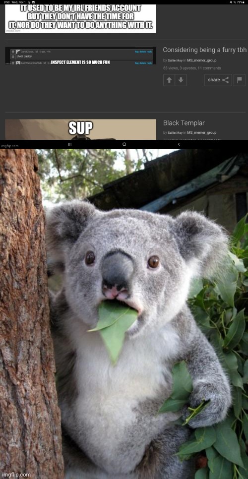 image tagged in memes,surprised koala | made w/ Imgflip meme maker