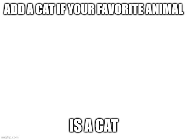 <3 Cats? | ADD A CAT IF YOUR FAVORITE ANIMAL; IS A CAT | image tagged in cats | made w/ Imgflip meme maker