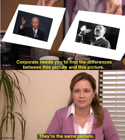 Biden = Hitler | image tagged in memes,they're the same picture | made w/ Imgflip meme maker