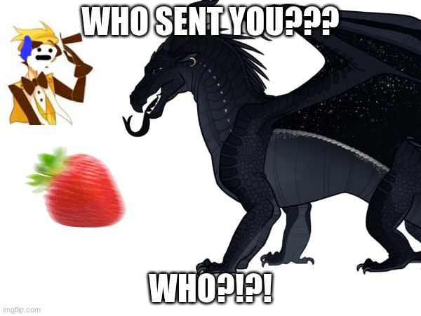 WHO SENT YOU??? WHO?!?! | made w/ Imgflip meme maker