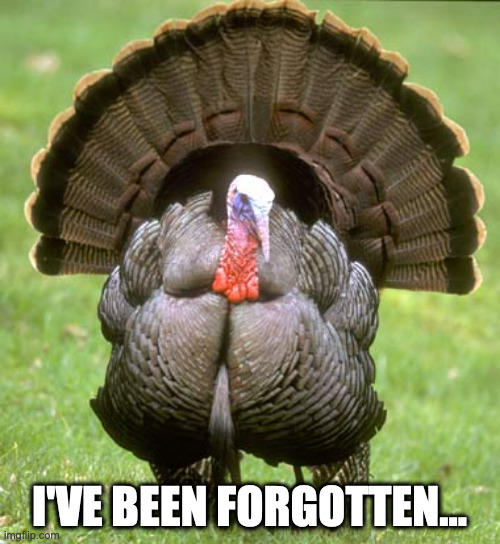 Turkey Meme | I'VE BEEN FORGOTTEN... | image tagged in memes,turkey | made w/ Imgflip meme maker