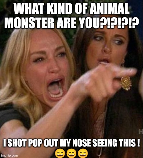 Screaming Lady | WHAT KIND OF ANIMAL MONSTER ARE YOU?!?!?!? I SHOT POP OUT MY NOSE SEEING THIS !
??? | image tagged in screaming lady | made w/ Imgflip meme maker