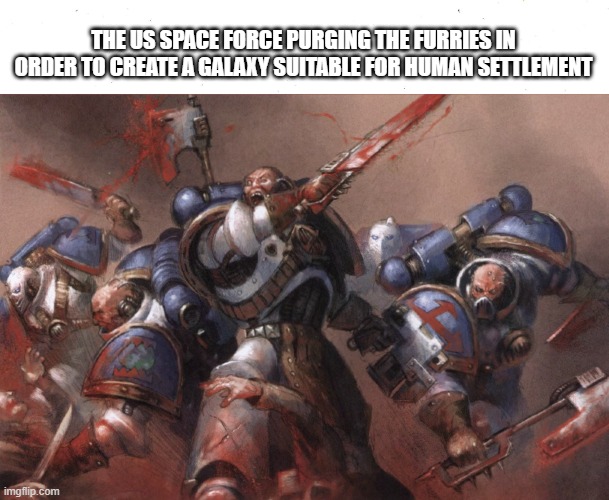 When the | THE US SPACE FORCE PURGING THE FURRIES IN ORDER TO CREATE A GALAXY SUITABLE FOR HUMAN SETTLEMENT | image tagged in warhammer40k,warhammer 40k,united states,space force,anti furry | made w/ Imgflip meme maker
