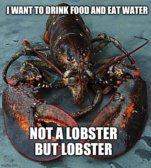 Lobster | I WANT TO DRINK FOOD AND EAT WATER; NOT A LOBSTER BUT LOBSTER | image tagged in lobster | made w/ Imgflip meme maker