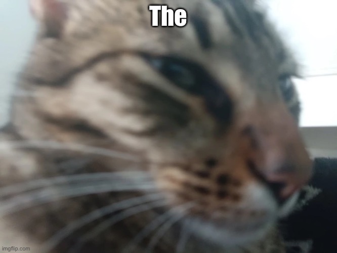 The | made w/ Imgflip meme maker