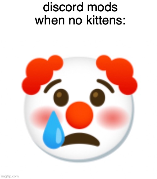 this needs to be a template or something im gonna make it one | discord mods when no kittens: | made w/ Imgflip meme maker