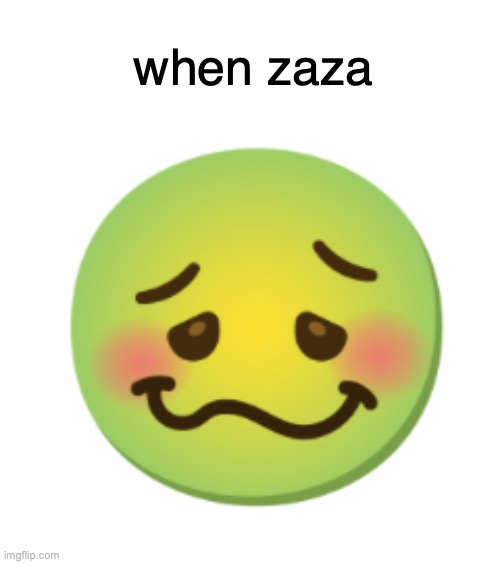 when zaza | made w/ Imgflip meme maker