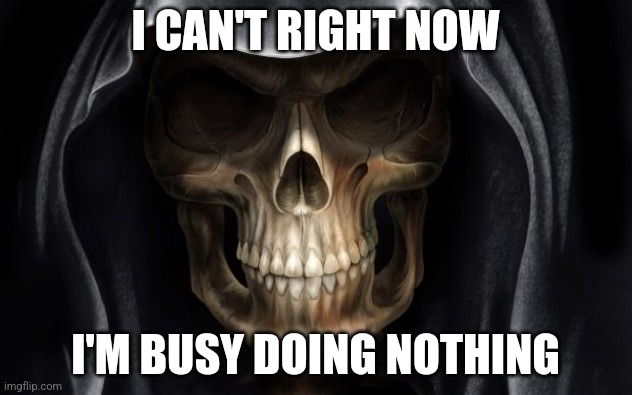 I'm busy doing nothing | I CAN'T RIGHT NOW; I'M BUSY DOING NOTHING | image tagged in death skull | made w/ Imgflip meme maker