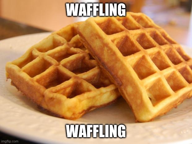 Essay Waffle | WAFFLING WAFFLING | image tagged in essay waffle | made w/ Imgflip meme maker