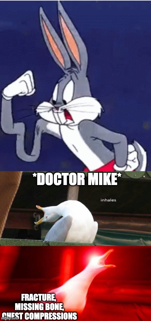 (insert title) | *DOCTOR MIKE*; FRACTURE, 
MISSING BONE,
CHEST COMPRESSIONS | image tagged in inhaling seagull,furrfluf,dr mike,youtube,bugs bunny | made w/ Imgflip meme maker