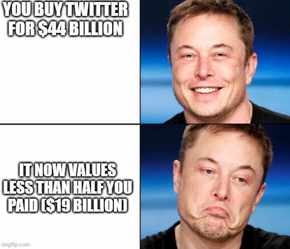 Elon Lost | YOU BUY TWITTER FOR $44 BILLION; IT NOW VALUES LESS THAN HALF YOU PAID ($19 BILLION) | image tagged in elon musk happy sad,elon musk,twitter | made w/ Imgflip meme maker