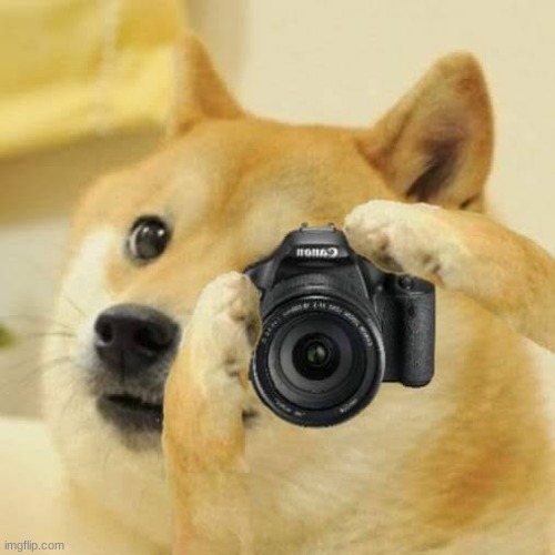 Doge camera | image tagged in doge camera | made w/ Imgflip meme maker